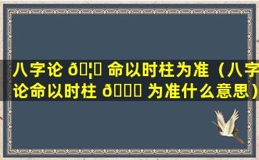 八字论 🦉 命以时柱为准（八字论命以时柱 🐅 为准什么意思）